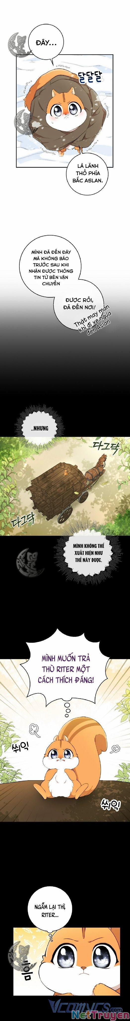 Sóc Nhỏ Tài Năng 3 trang 5