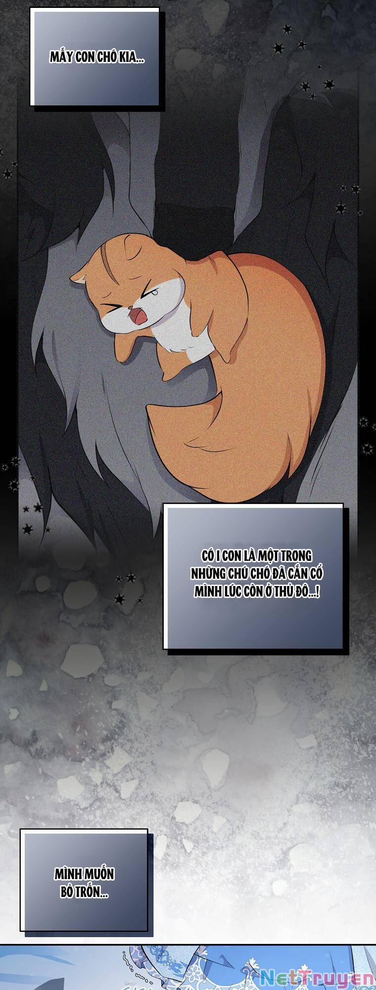 Sóc Nhỏ Tài Năng 30 trang 2