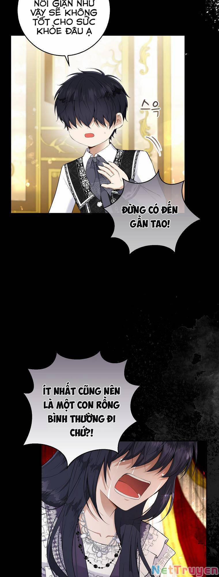 Sóc Nhỏ Tài Năng 31 trang 10