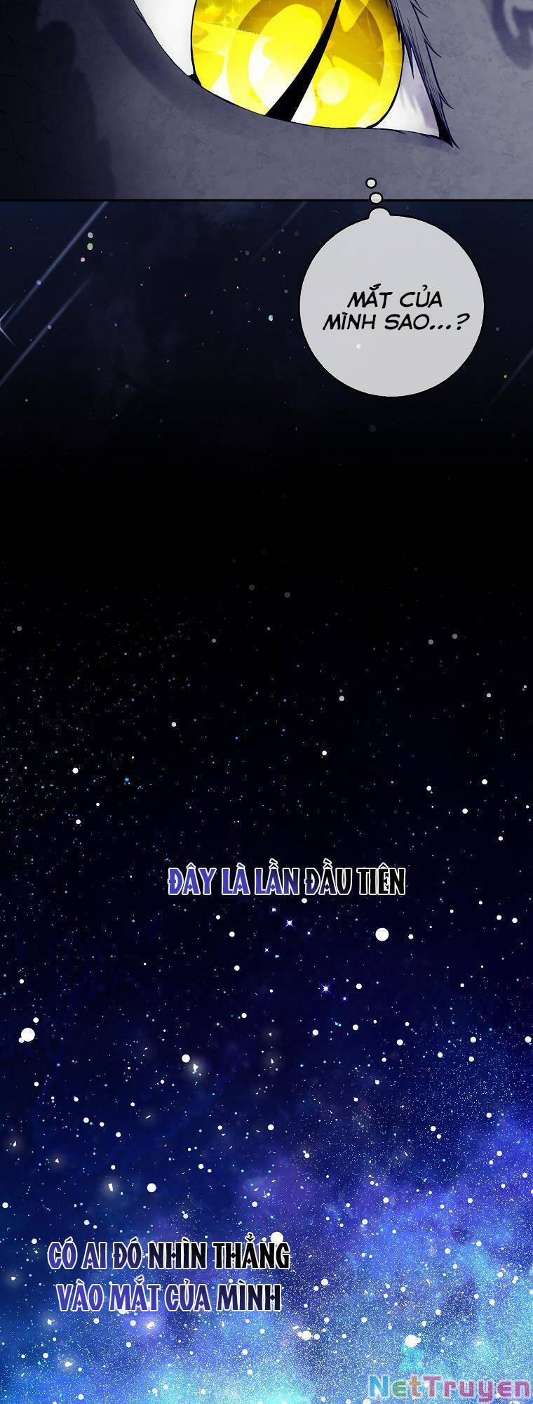 Sóc Nhỏ Tài Năng 31 trang 39