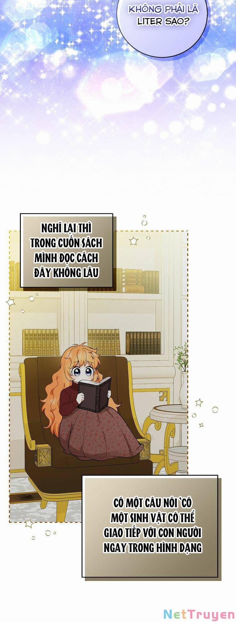 Sóc Nhỏ Tài Năng 32 trang 1