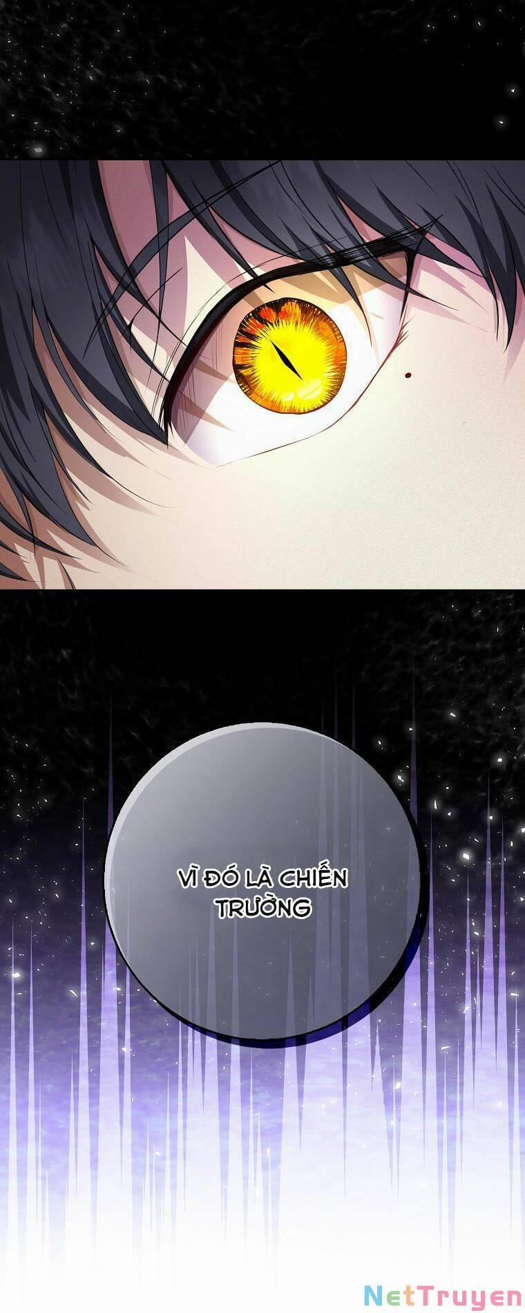 Sóc Nhỏ Tài Năng 33 trang 39