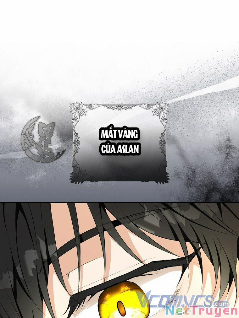 Sóc Nhỏ Tài Năng 4 trang 31