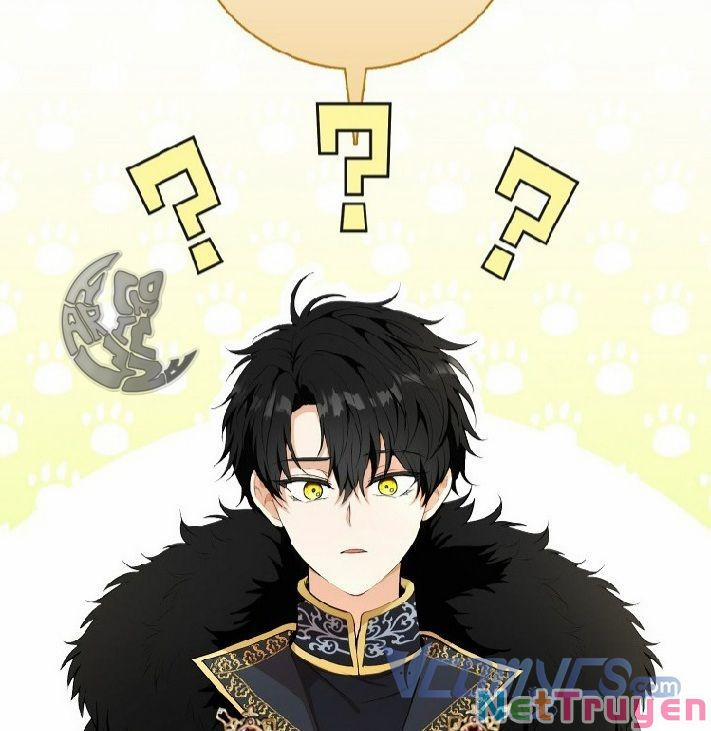 Sóc Nhỏ Tài Năng 4 trang 41