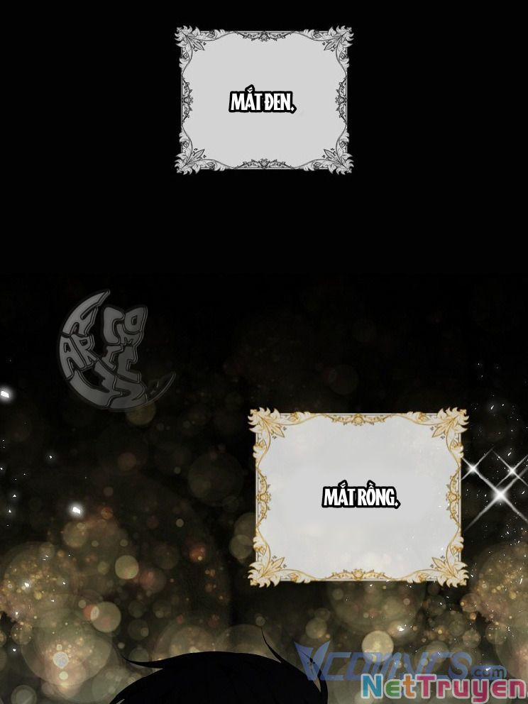 Sóc Nhỏ Tài Năng 4 trang 81