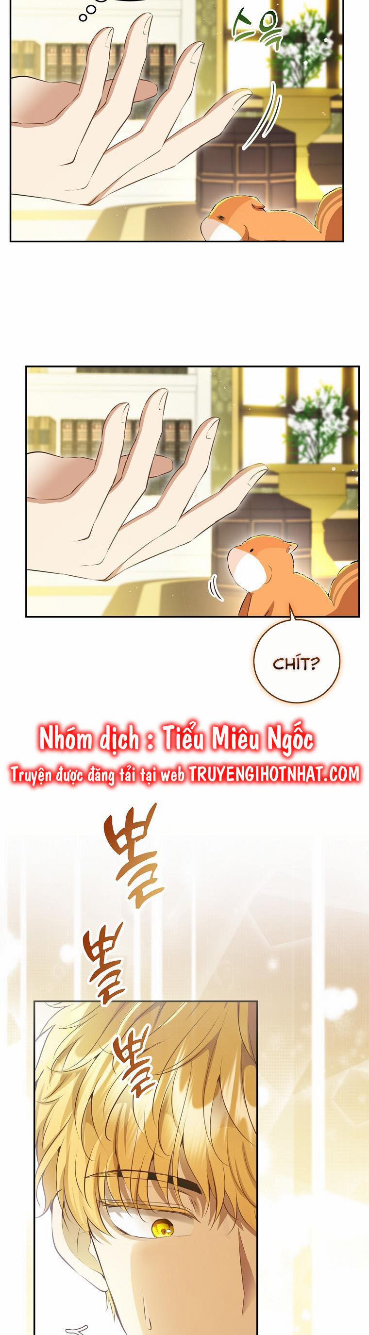 Sóc Nhỏ Tài Năng 43 trang 23