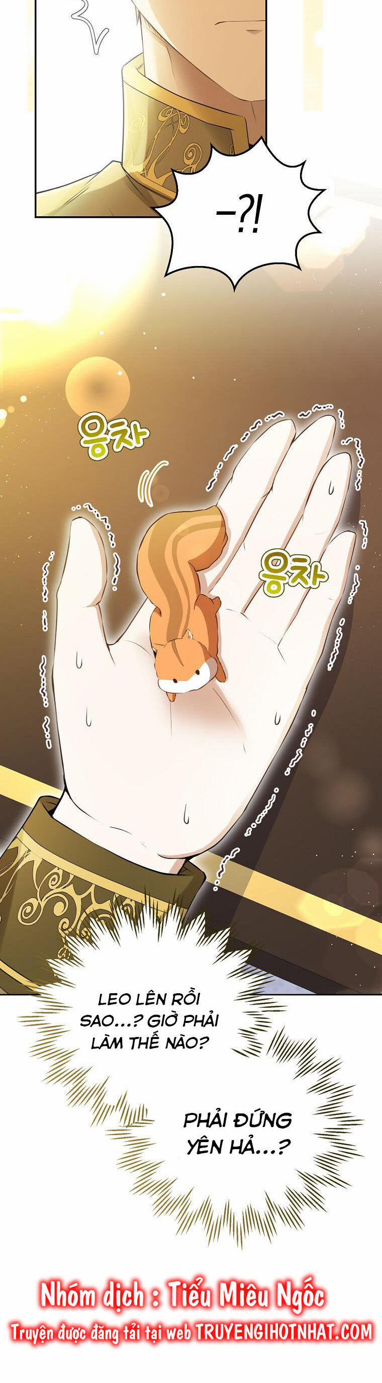 Sóc Nhỏ Tài Năng 43 trang 24