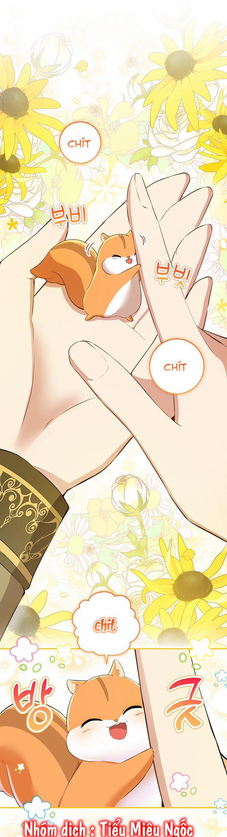 Sóc Nhỏ Tài Năng 43 trang 29