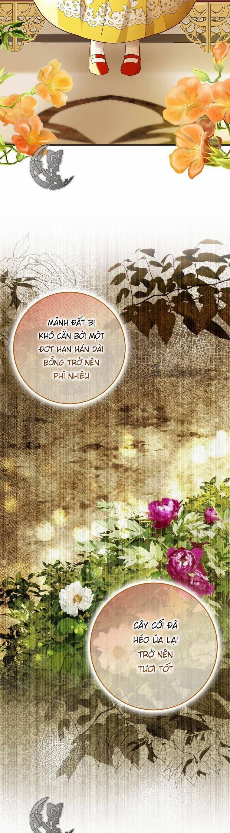 Sóc Nhỏ Tài Năng 45 trang 2