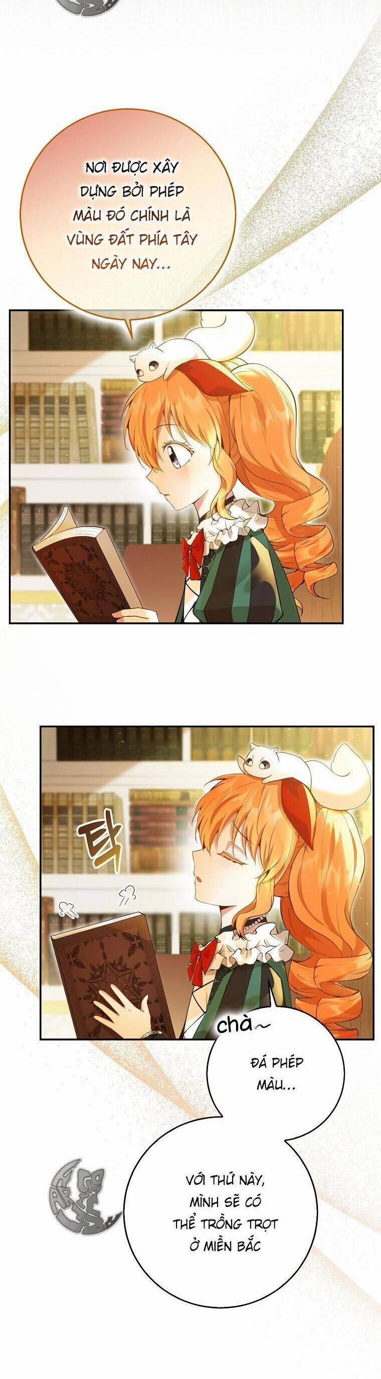 Sóc Nhỏ Tài Năng 45 trang 3