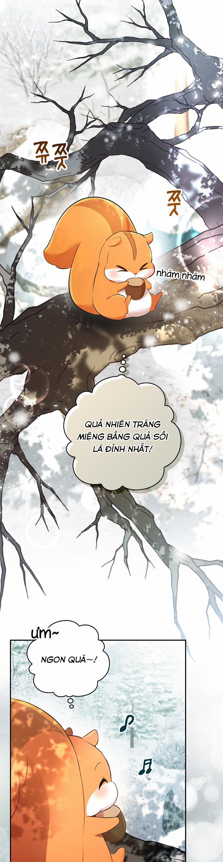 Sóc Nhỏ Tài Năng 48 trang 23