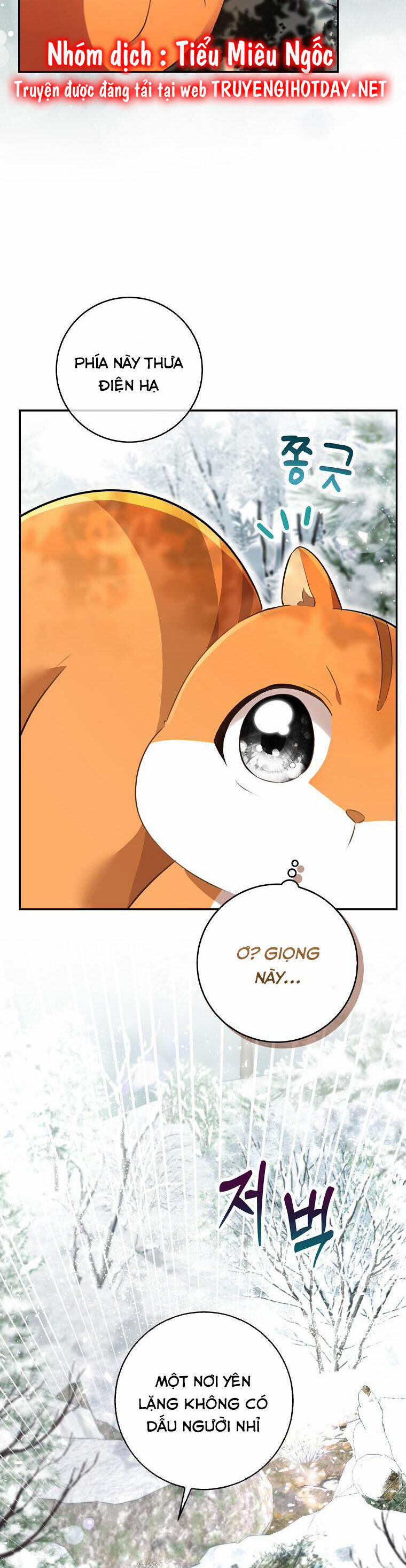 Sóc Nhỏ Tài Năng 48 trang 24