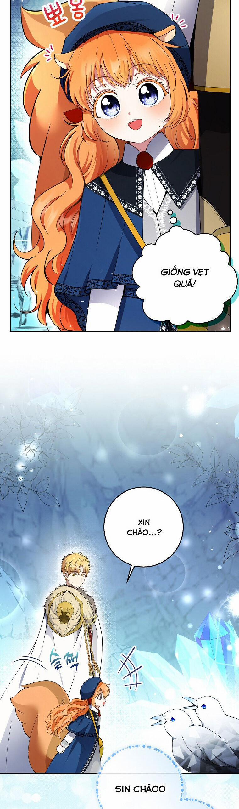 Sóc Nhỏ Tài Năng 50 trang 15