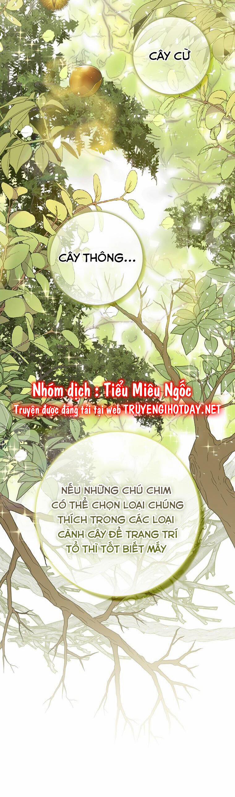 Sóc Nhỏ Tài Năng 51 trang 16
