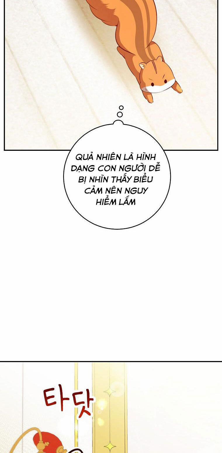 Sóc Nhỏ Tài Năng 52 trang 32