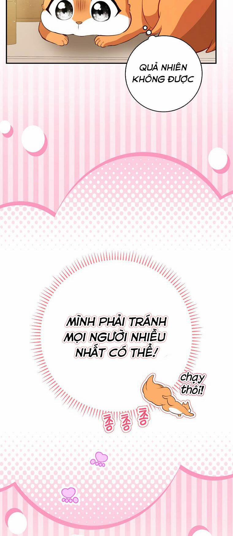 Sóc Nhỏ Tài Năng 52 trang 43