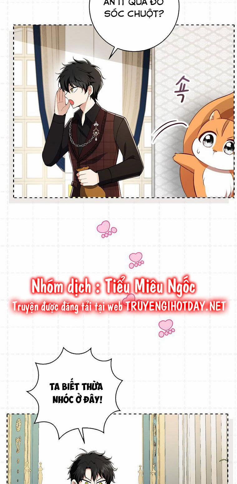 Sóc Nhỏ Tài Năng 52 trang 46