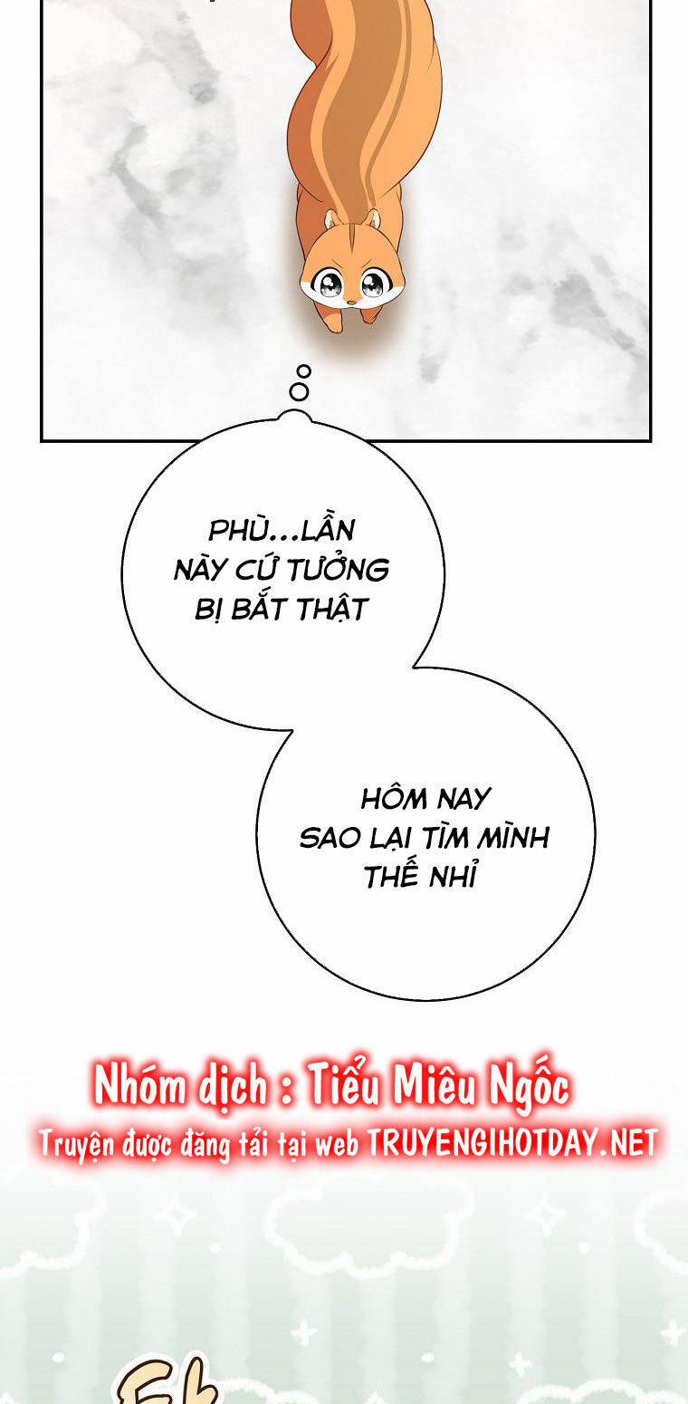 Sóc Nhỏ Tài Năng 52 trang 49