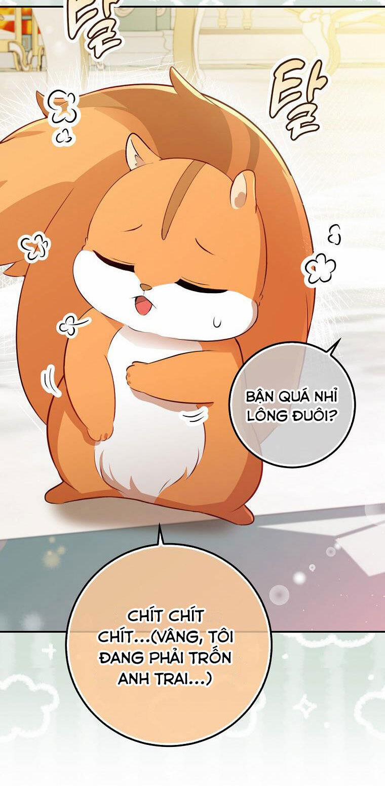 Sóc Nhỏ Tài Năng 52 trang 50