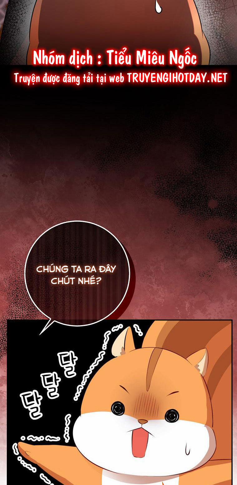 Sóc Nhỏ Tài Năng 52 trang 54