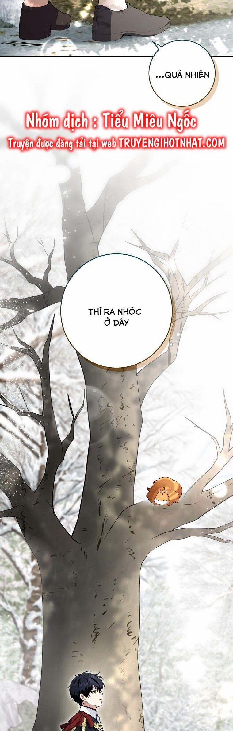 Sóc Nhỏ Tài Năng 53 trang 31