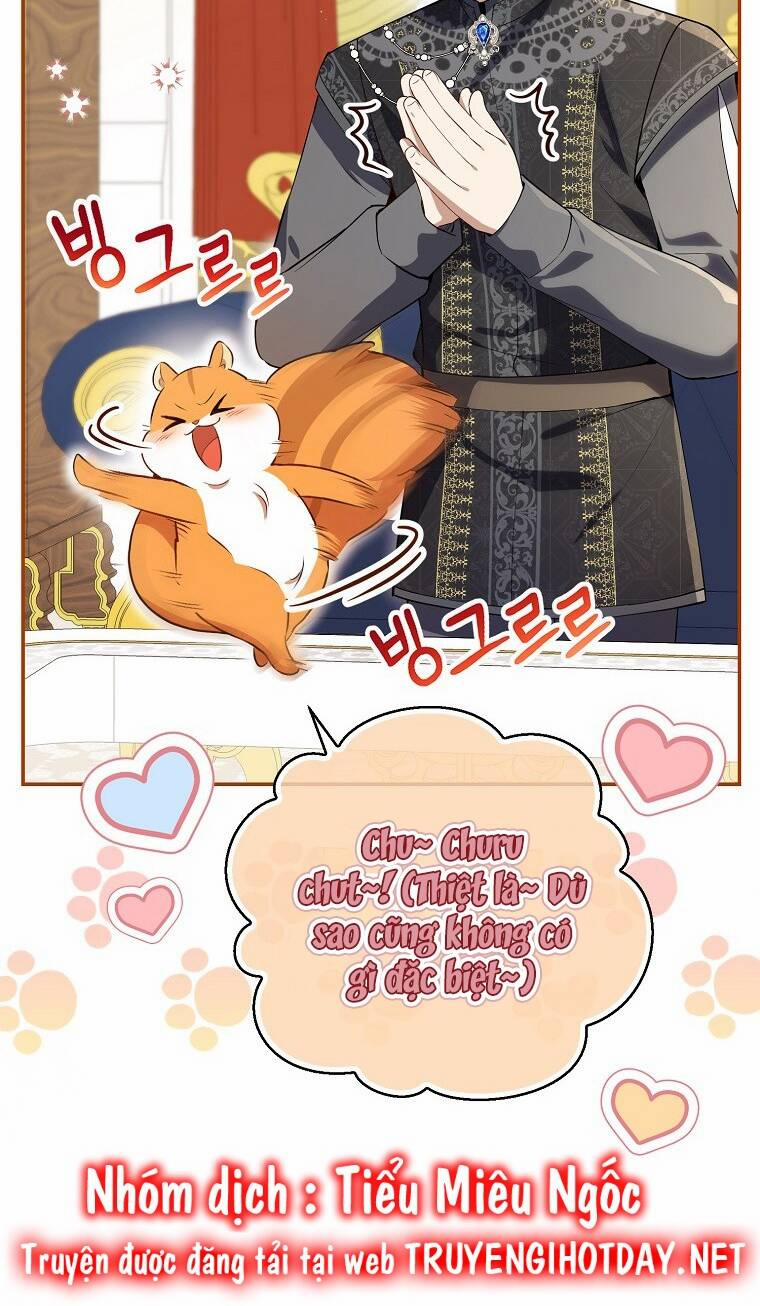 Sóc Nhỏ Tài Năng 58 trang 19