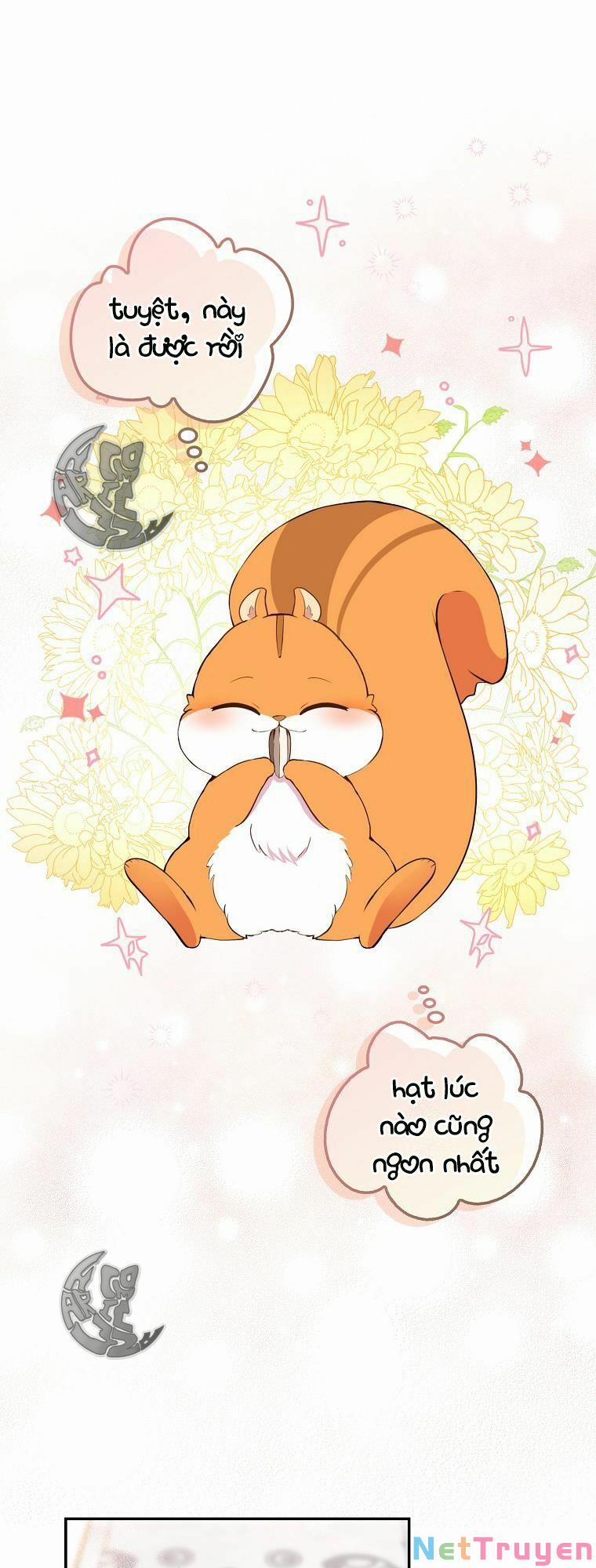 Sóc Nhỏ Tài Năng 6 trang 1