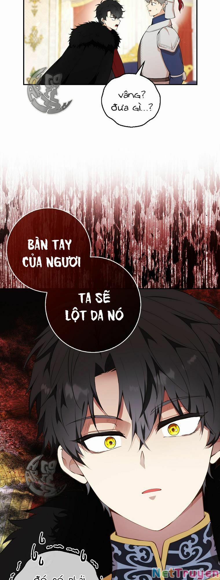 Sóc Nhỏ Tài Năng 6 trang 14