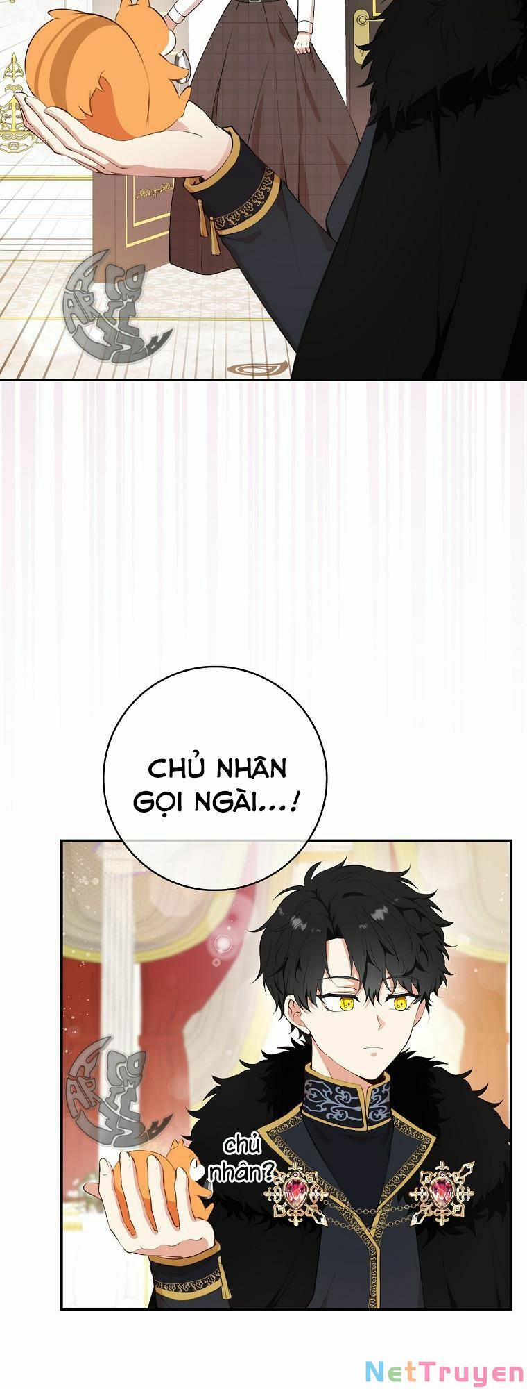 Sóc Nhỏ Tài Năng 6 trang 4