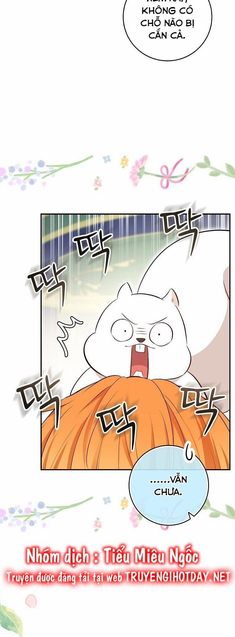 Sóc Nhỏ Tài Năng 67 trang 17