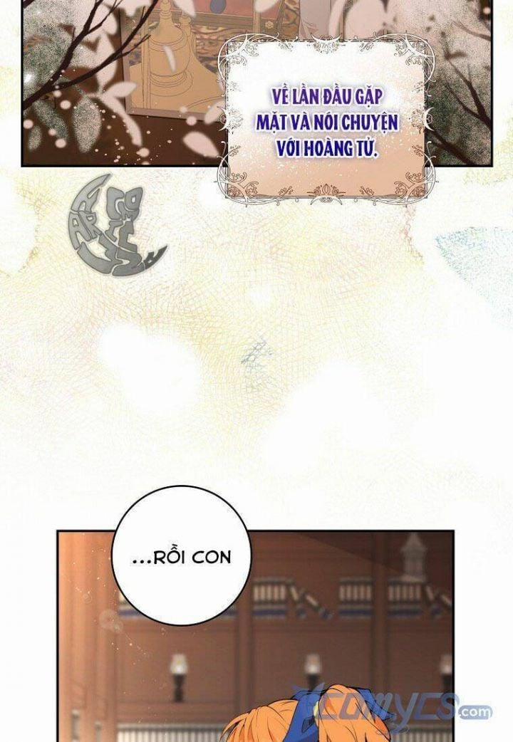 Sóc Nhỏ Tài Năng 7 trang 17