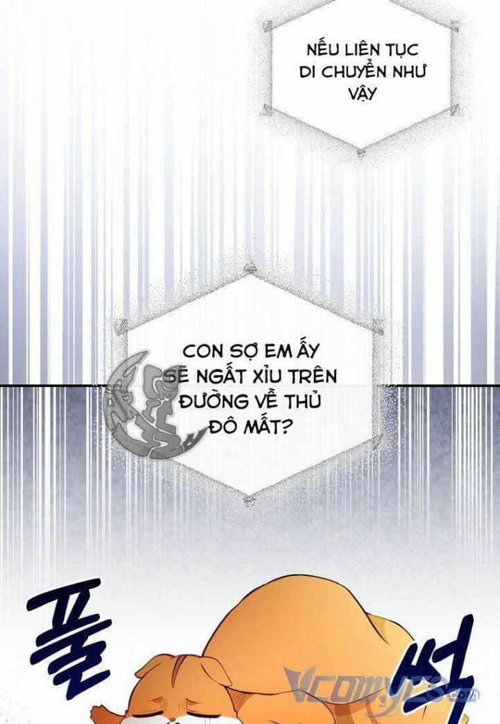 Sóc Nhỏ Tài Năng 7 trang 65