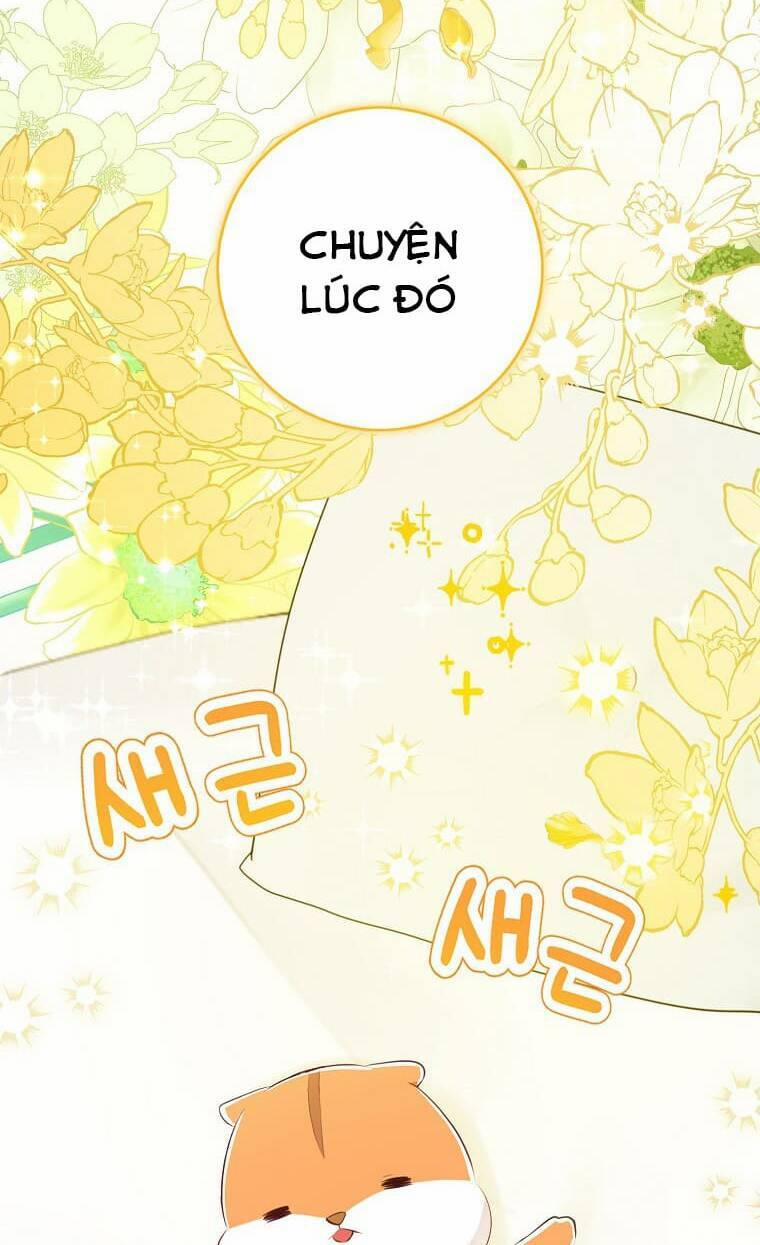 Sóc Nhỏ Tài Năng 72 trang 72