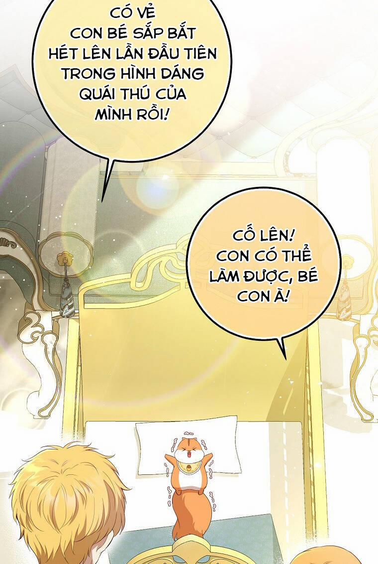 Sóc Nhỏ Tài Năng 73 trang 25