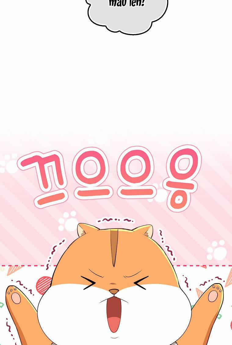 Sóc Nhỏ Tài Năng 73 trang 27