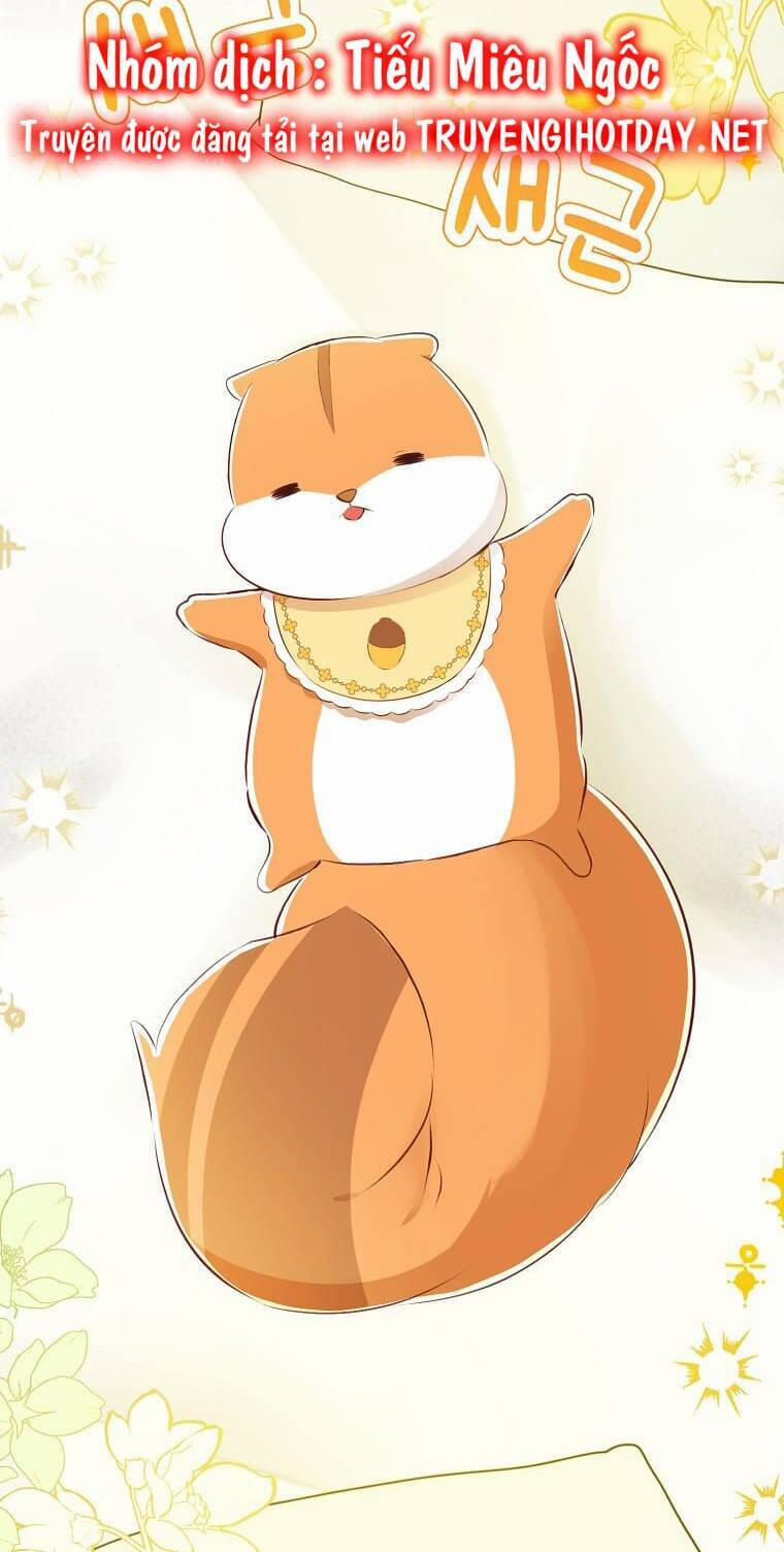 Sóc Nhỏ Tài Năng 73 trang 3