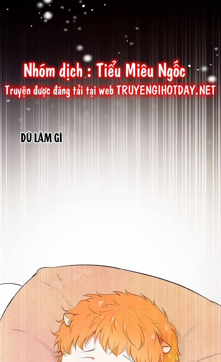 Sóc Nhỏ Tài Năng 73 trang 51