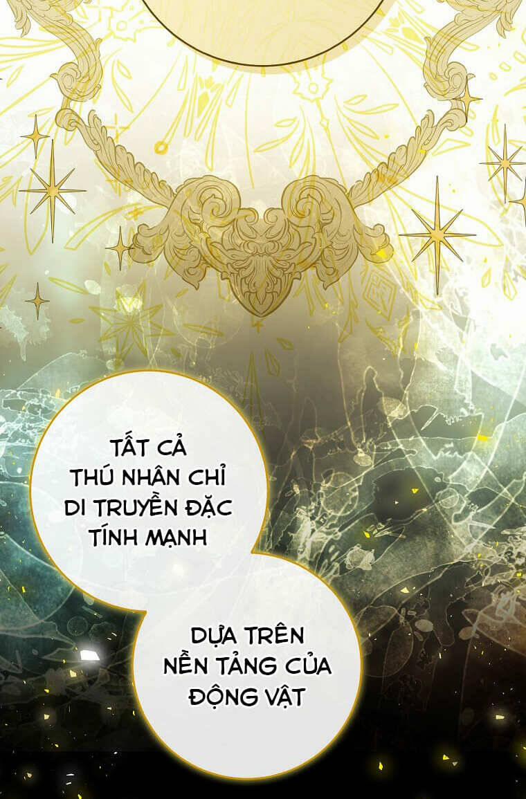 Sóc Nhỏ Tài Năng 73 trang 67