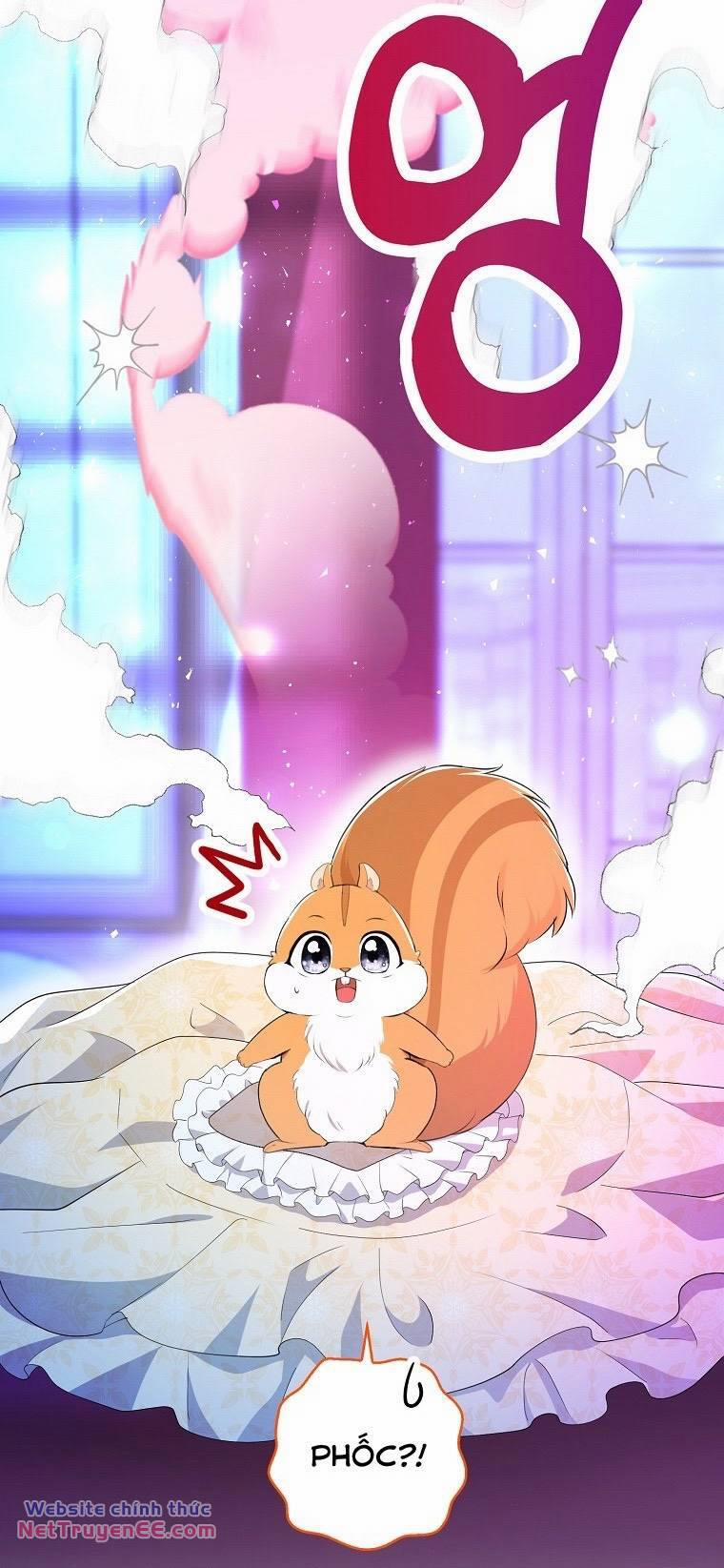 Sóc Nhỏ Tài Năng 74 trang 20