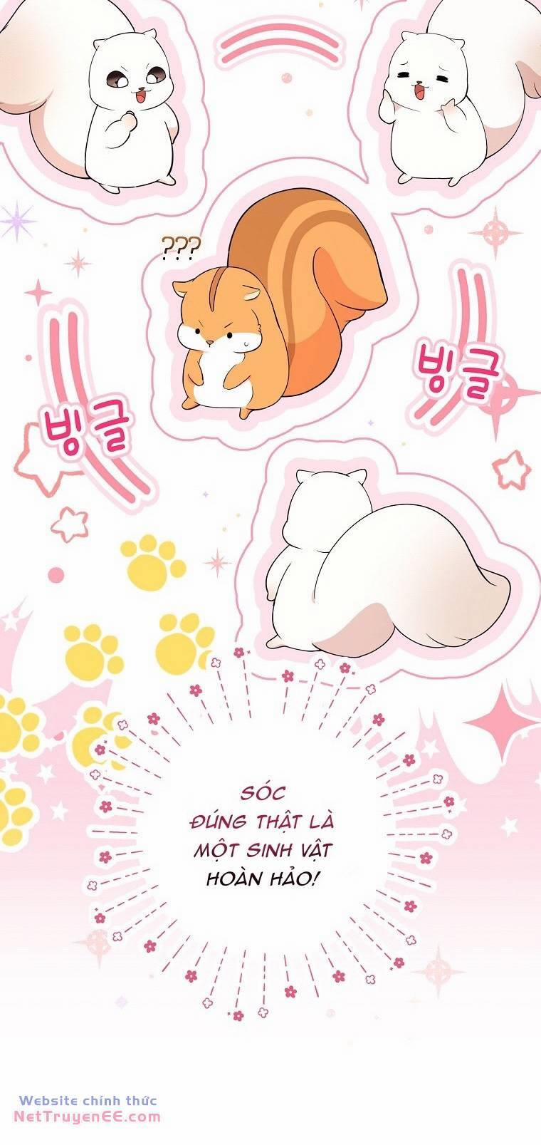 Sóc Nhỏ Tài Năng 74 trang 22