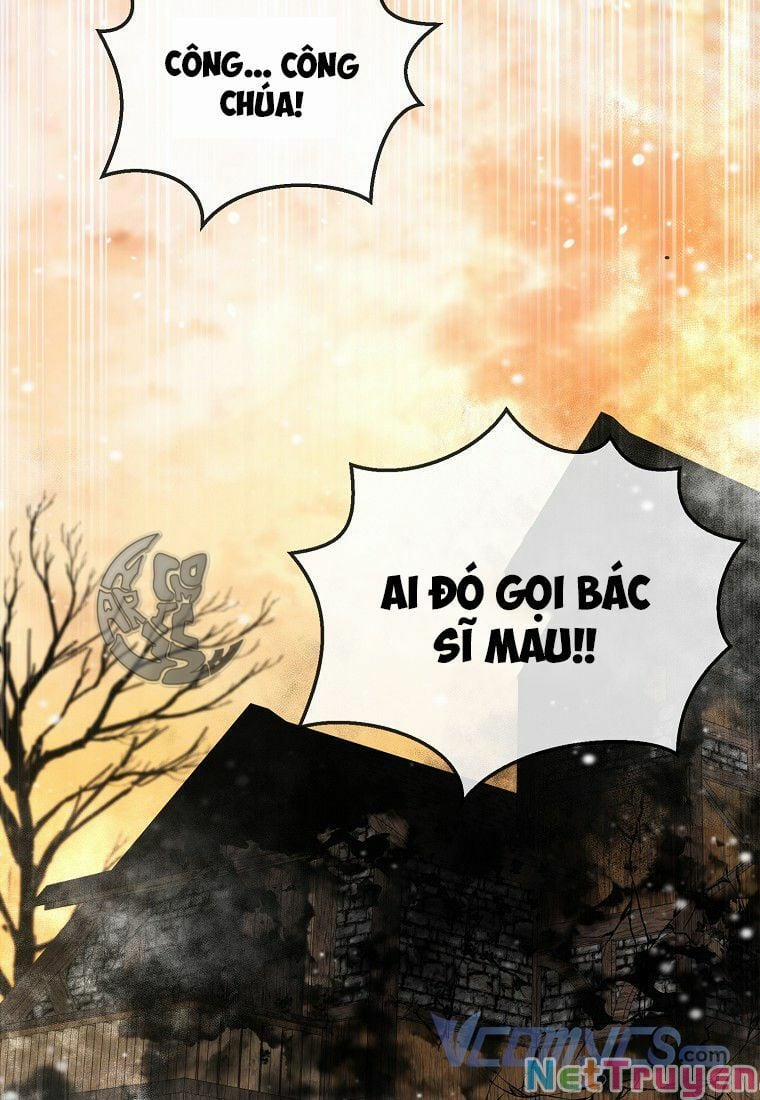 Sóc Nhỏ Tài Năng 8 trang 102