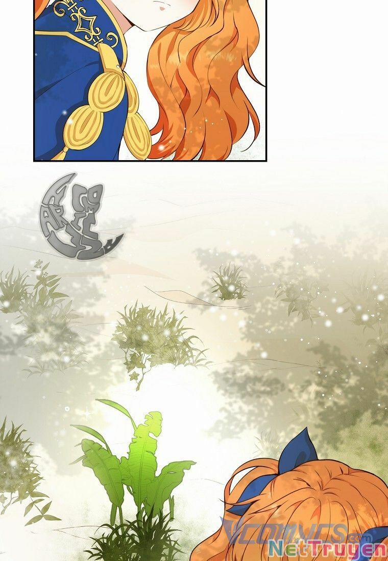 Sóc Nhỏ Tài Năng 8 trang 16