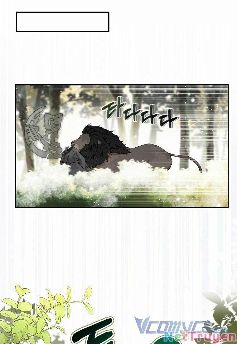 Sóc Nhỏ Tài Năng 8 trang 19