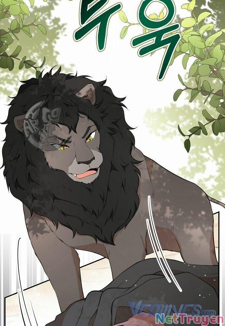 Sóc Nhỏ Tài Năng 8 trang 20