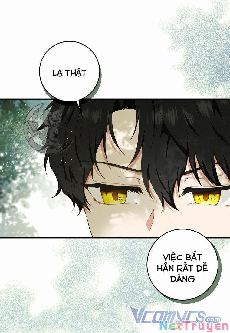 Sóc Nhỏ Tài Năng 8 trang 25