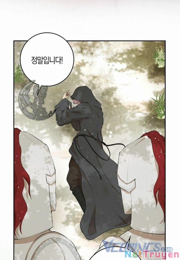 Sóc Nhỏ Tài Năng 8 trang 29