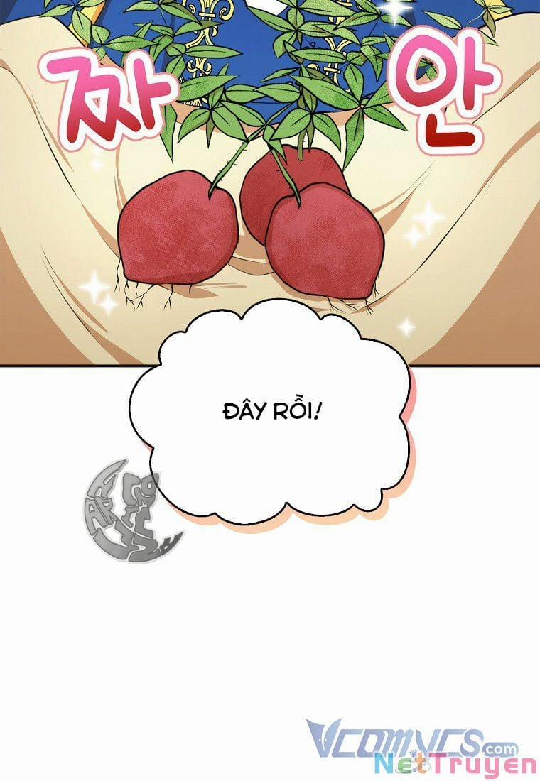 Sóc Nhỏ Tài Năng 8 trang 62