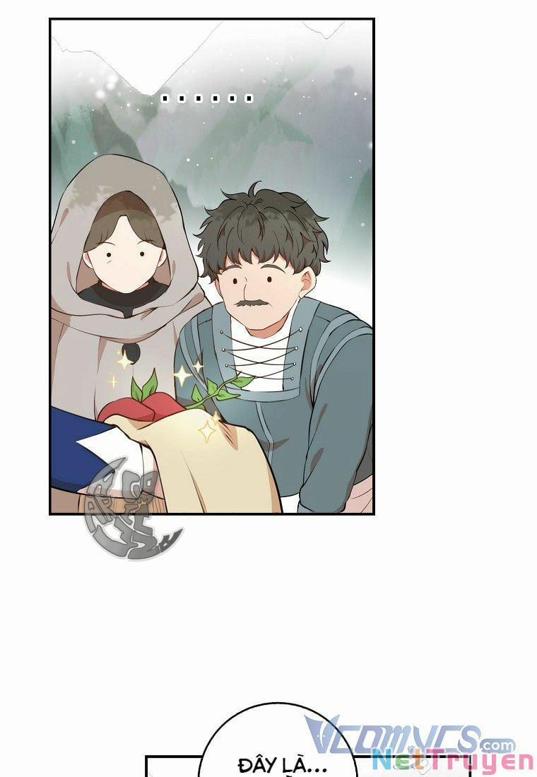 Sóc Nhỏ Tài Năng 8 trang 63