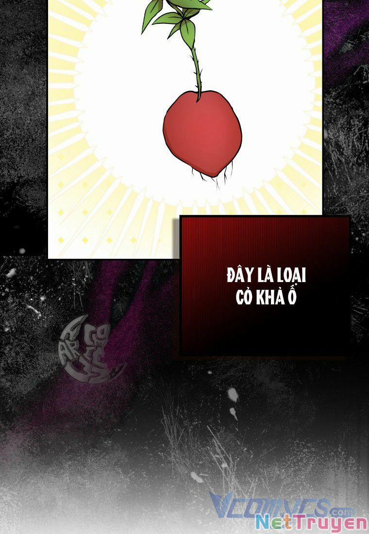 Sóc Nhỏ Tài Năng 8 trang 68