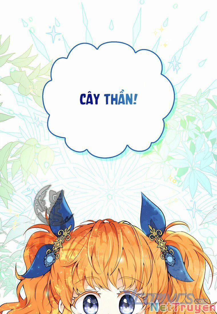 Sóc Nhỏ Tài Năng 8 trang 71